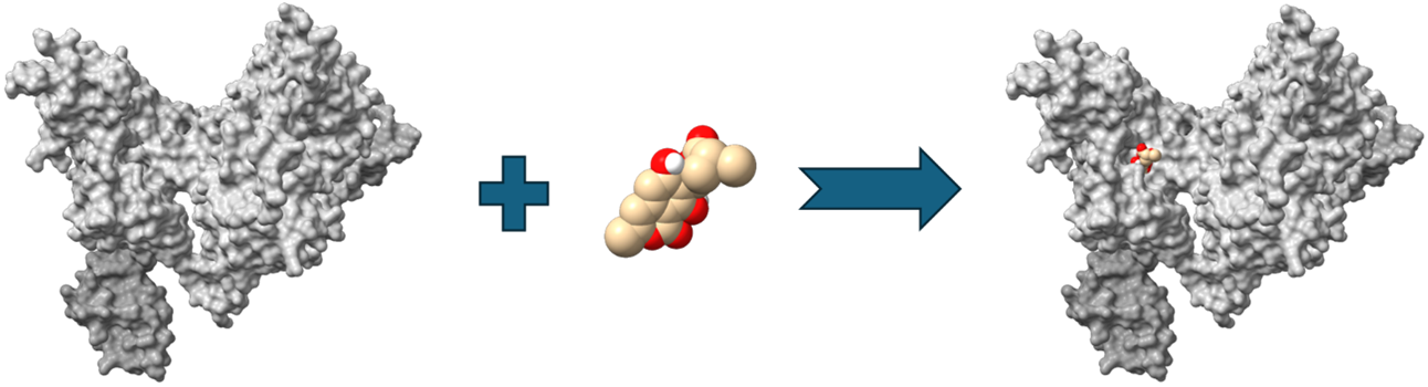 Receptor-ligand Docking