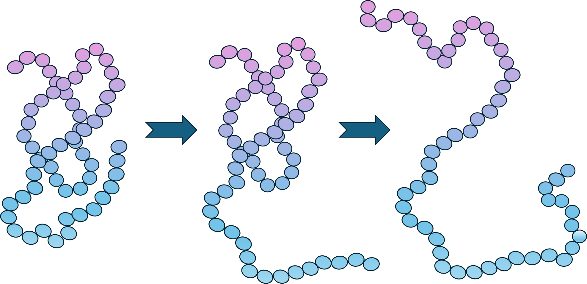 Conformational Dynamics